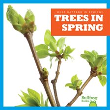 Cover image for Trees in Spring