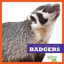 Cover image for Badgers