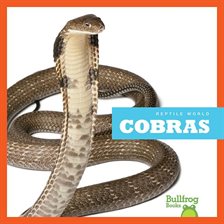 Cover image for Cobras