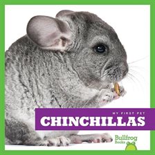 Cover image for Chinchillas