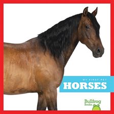 Cover image for Horses