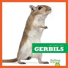 Cover image for Gerbils