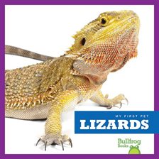 Cover image for Lizards