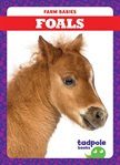 Foals cover image