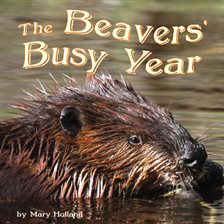 Cover image for The Beavers' Busy Year