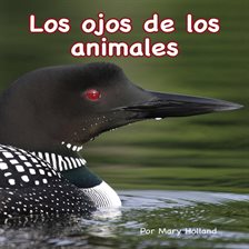 Cover image for Los ojos de los animales