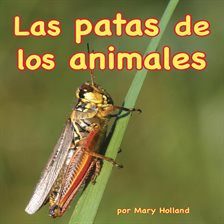 Cover image for Patas de los animales