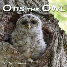 Cover image for Otis the Owl