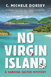 No Virgin Island cover image