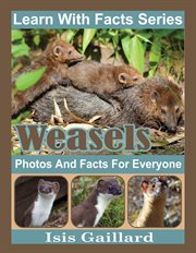 Weasels photos and facts for everyone cover image