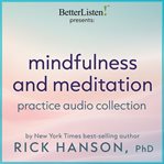 Mindfulness and Meditation Practice Audio Collection With Dr. Rick Hanson cover image