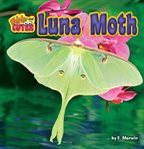 Luna moth cover image
