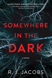 Somewhere in the dark : a novel cover image