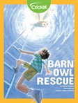 Barn owl rescue cover image