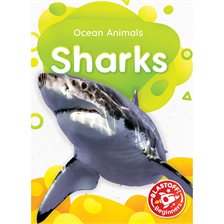 Imagen de portada para Sharks