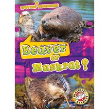 Cover image for Beaver or Muskrat?