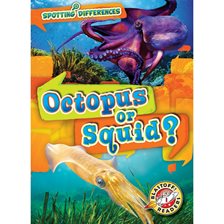 Imagen de portada para Octopus or Squid?