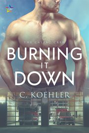 Burning it down cover image