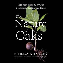 Cover image for The Nature of Oaks