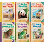 Active minds explorers baby animals cover image