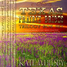 Cover image for Texas Prairie Brides Trilogy Box Set