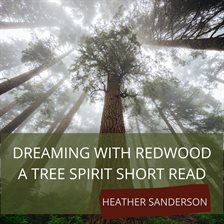 Cover image for Dreaming with Redwood
