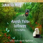 Amish false witness cover image