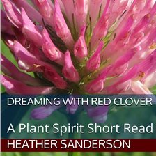 Cover image for Dreaming with Red Clover