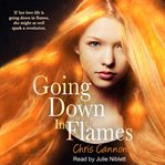 Going down in flames cover image