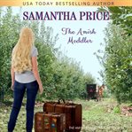 The amish meddler cover image