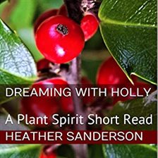 Cover image for Dreaming with Holly