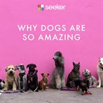 Why dogs are so amazing cover image