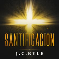 Cover image for Santificación