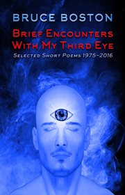 Brief encounters with my third eye: selected poems cover image