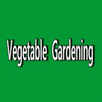 Vegetable gardening cover image