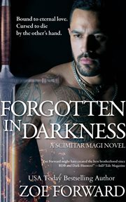 Forgotten in darkness : a scimiter magi novel cover image