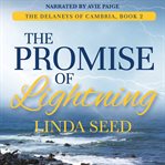 The promise of lightning cover image