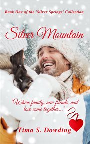 Silver mountain cover image