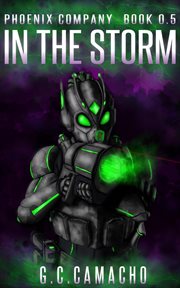 In the Storm cover image