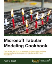 Microsoft Tabular Modeling Cookbook cover image