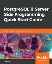 Postgresql 11 Server Side Programming Quick Start Guide cover image