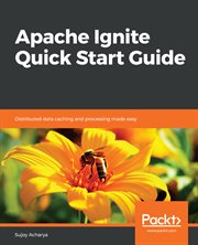Apache Ignite Quick Start Guide cover image