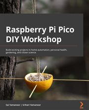 Raspberry Pi Pico Diy Workshop cover image