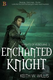 Enchanted knight cover image
