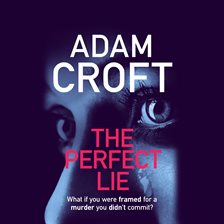 Cover image for The Perfect Lie