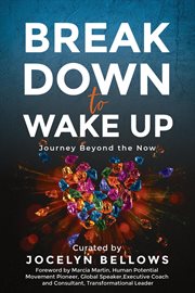Break down to wake up: journey beyond the now : Journey Beyond the Now cover image