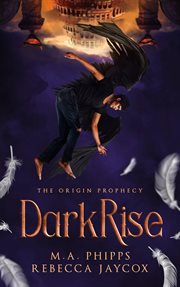DarkRise cover image