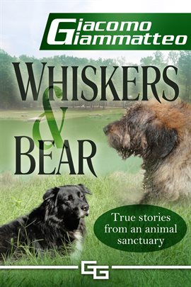 Cover image for Whiskers and Bear