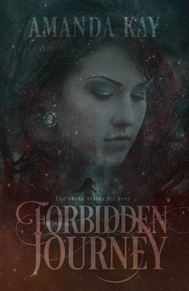 Cover image for Forbidden Journey