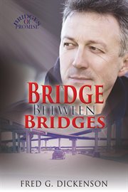 A bridge between bridges cover image